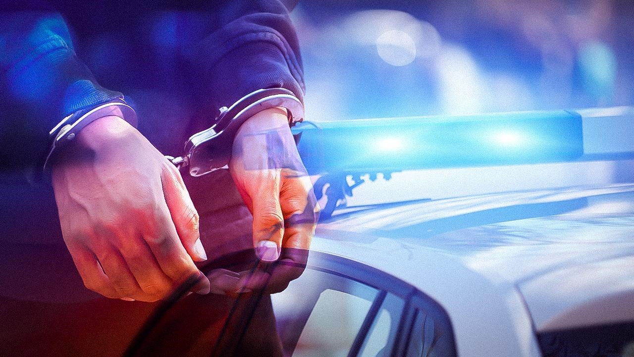 "Daltonlar" suç örgütüne operasyon: 26 gözaltı