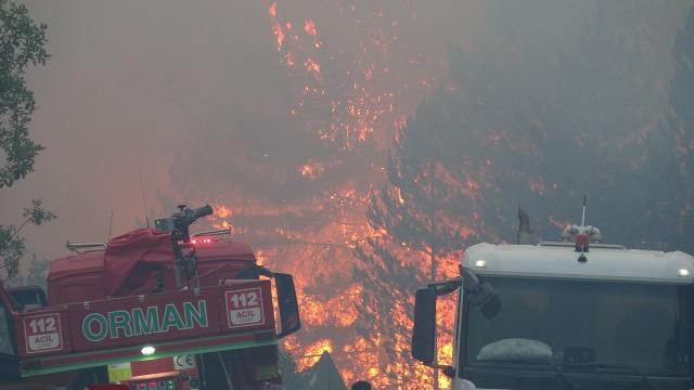 Kastamonu'da ormanlık alandaki 2 yangına müdahale sürüyor
