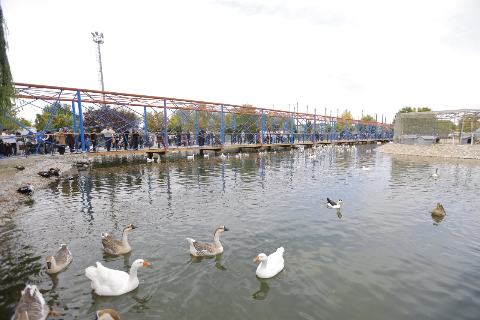 Büyükşehir’in Hayvanat Bahçesi’ndeki ücretsiz ziyaret uygulamasına yoğun ilgi